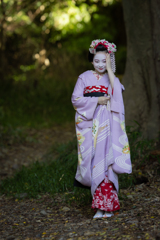 杜の中で