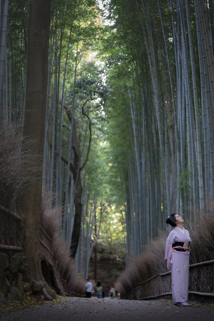 竹林