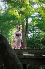 緑の杜
