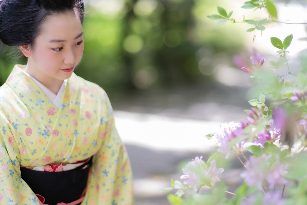 初夏の日に