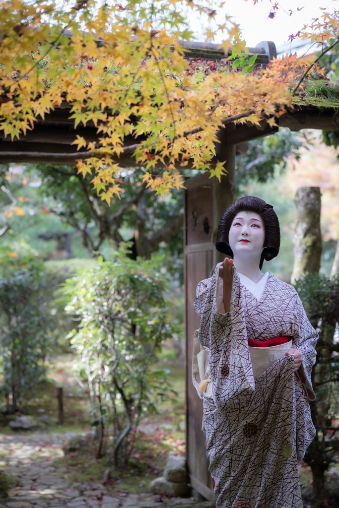 紅葉との戯れ