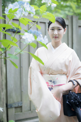 紫陽花
