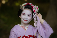 ビラかんざし