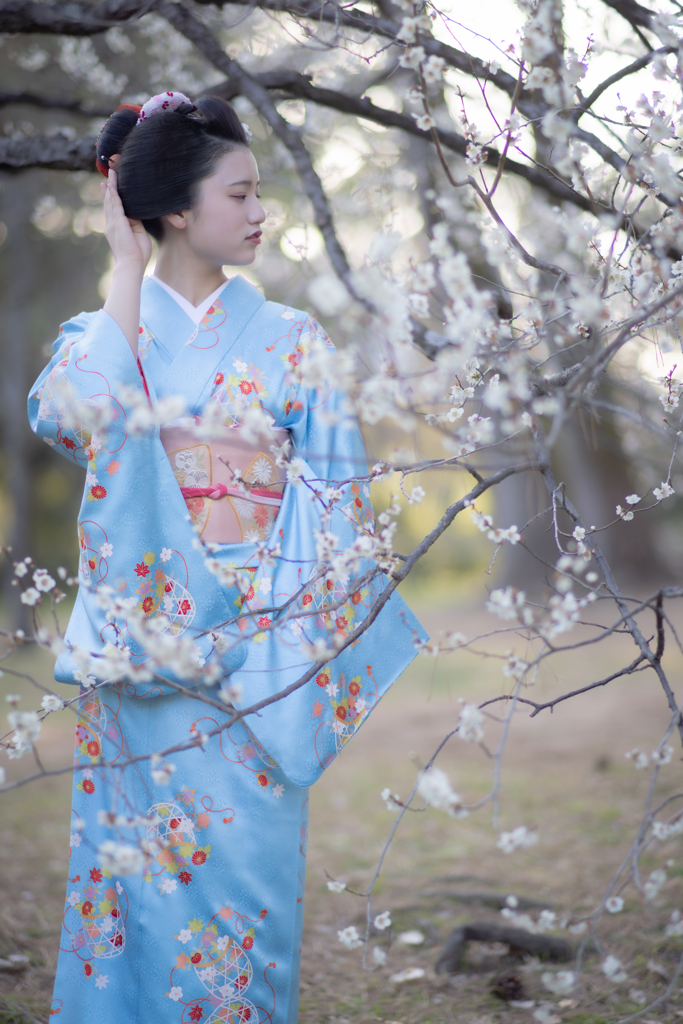 梅に恋して