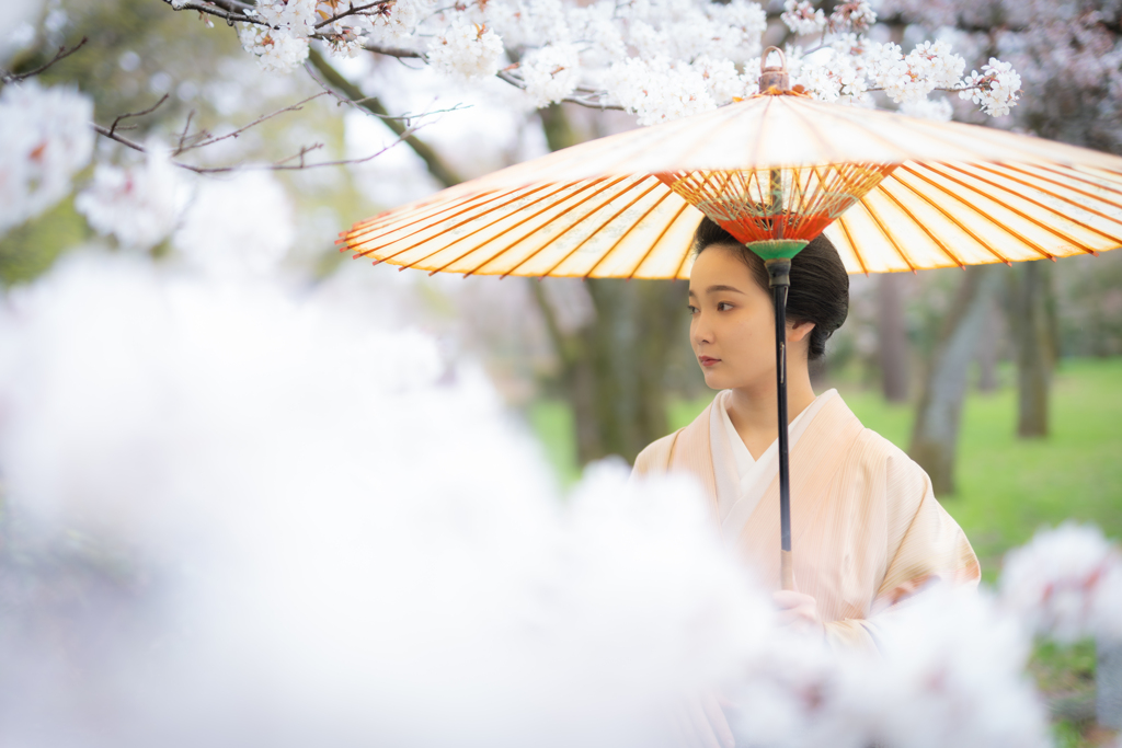 花模様、雨模様