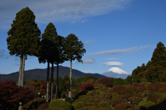 笠雲