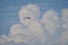 夏雲を行く