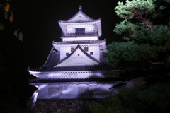 高知城ライトアップ