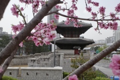 韓国　東大門