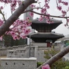 韓国　東大門