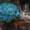 梅田交差点イルミネーション