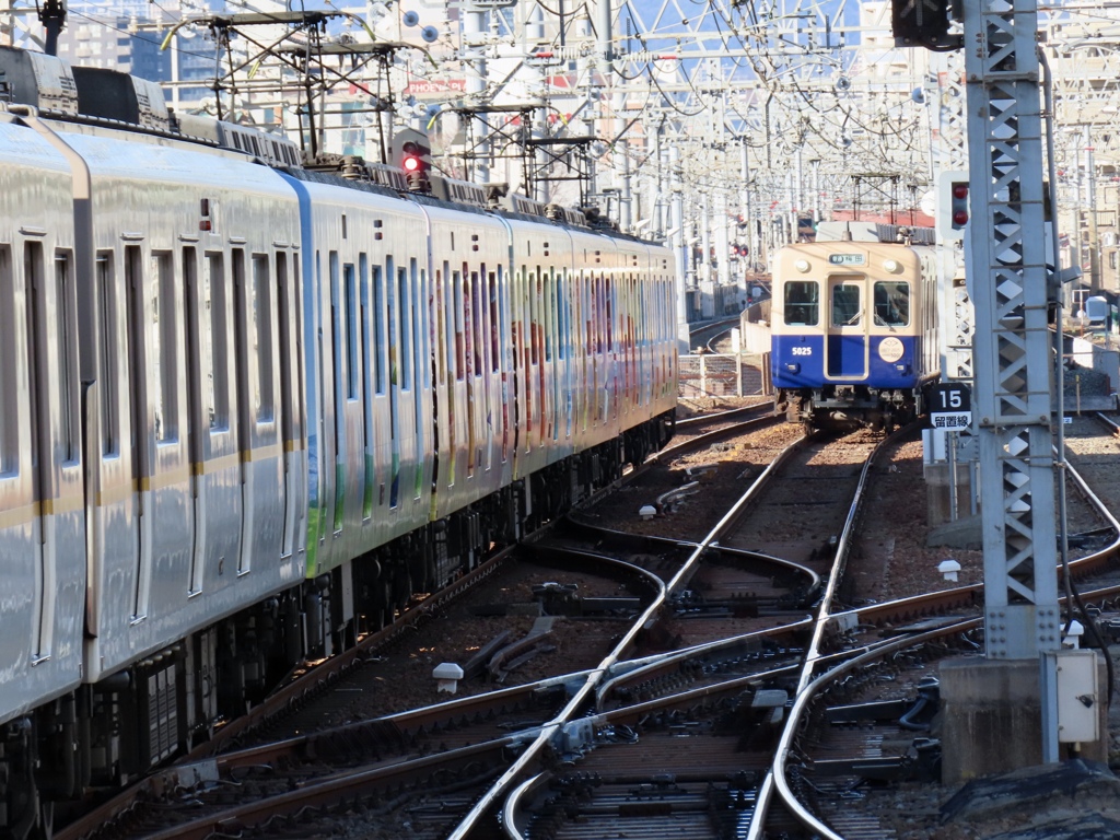昨日引退の青胴車