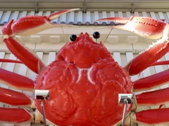 道頓堀かに道楽