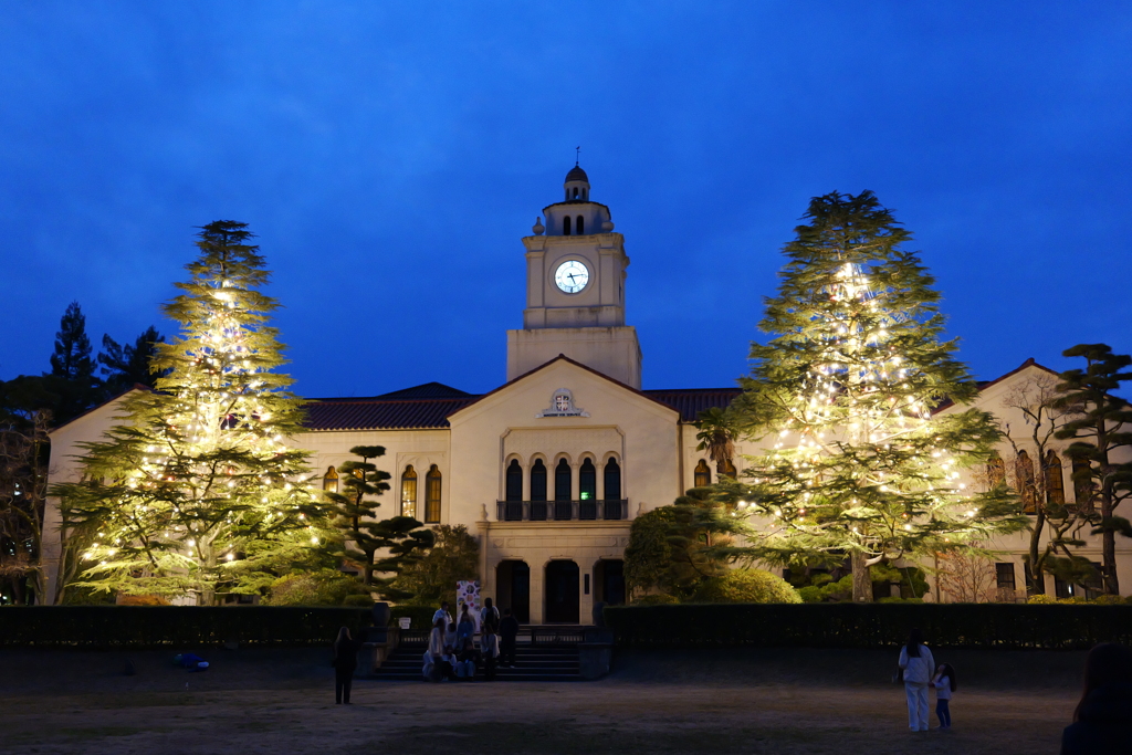 関西学院大学ツリー