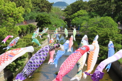 ５月の風景