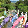 ５月の風景