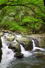 摂津峡の夫婦岩