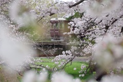 さくら夙川