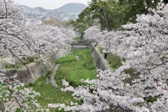 夙川　橋の上から