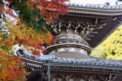 鷲林寺の秋