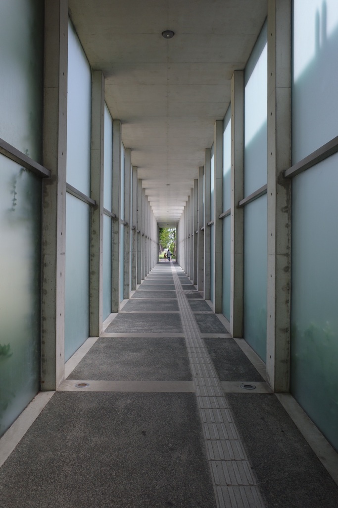 西宮貝類館の通路