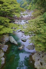 徳島　かずら橋