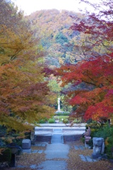 甲山森林公園の紅葉
