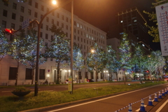 年中イルミの御堂筋