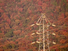 色づく六甲山