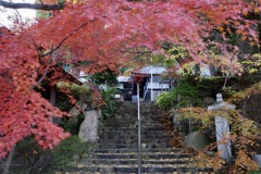 鷲林寺の階段