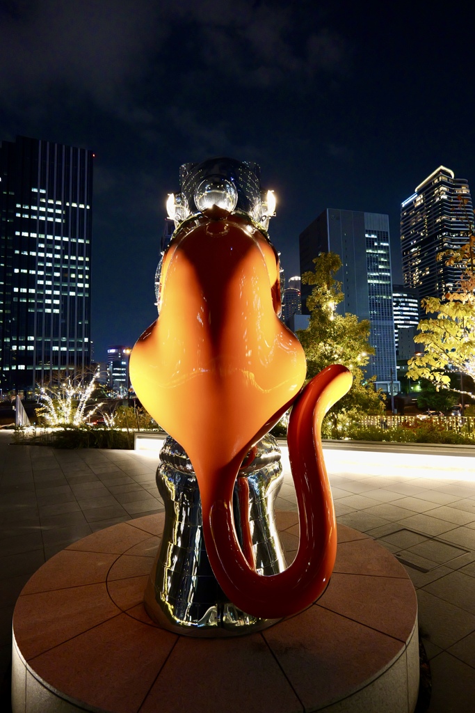 シップスキャットの背中