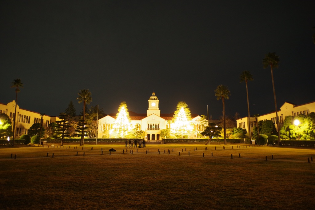 関西学院大学クリスマスツリー by さんなすび (ID:12139672) - 写真共有サイト:PHOTOHITO