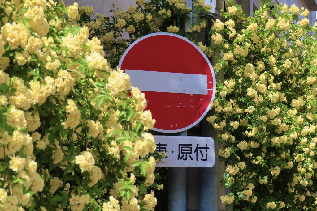 幸せな標識