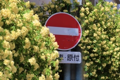 幸せな標識