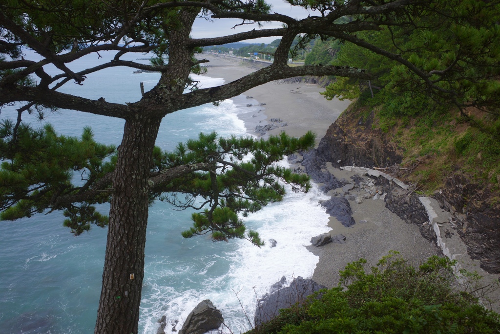 高知　桂浜