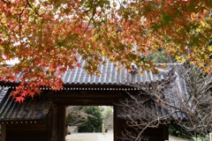 神呪寺　上から