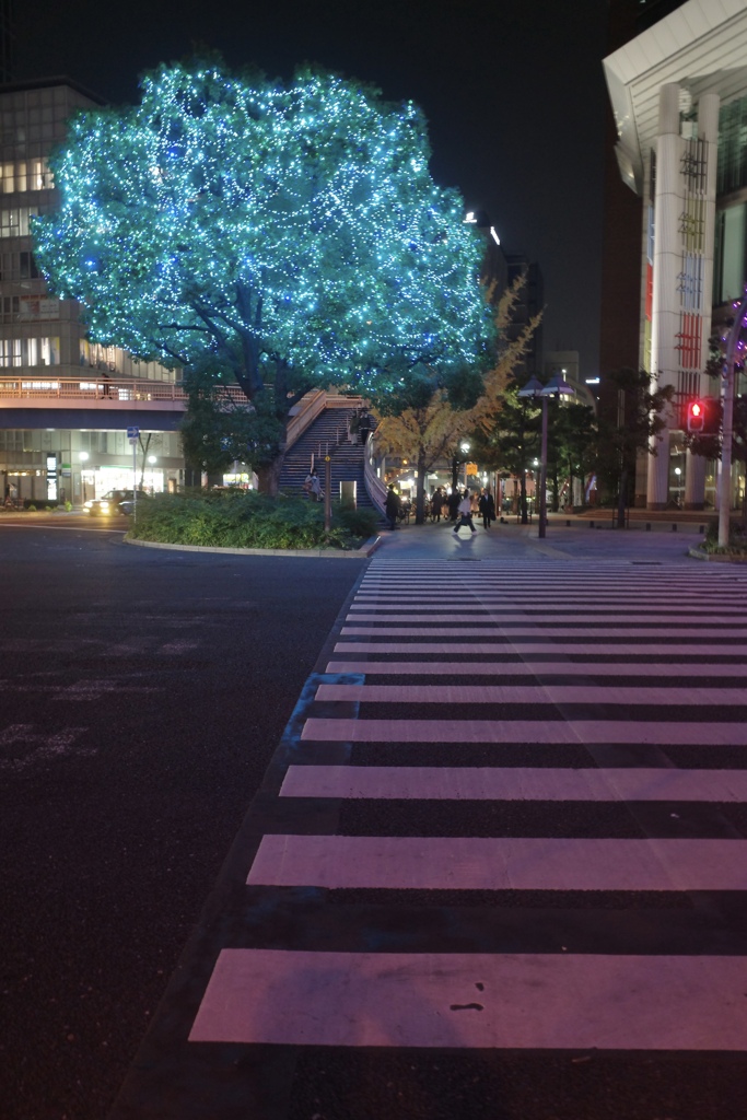 信号待ちでパシャリ