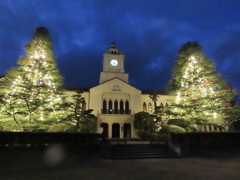 シンプルなクリスマスツリー