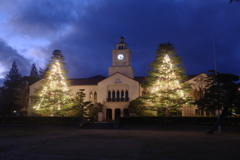 クリスマスツリー　関西学院大学