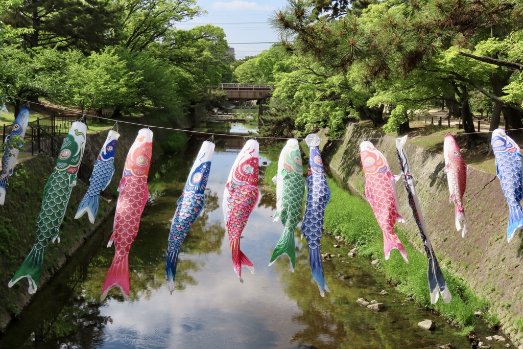 まだまだ５月