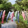 まだまだ５月