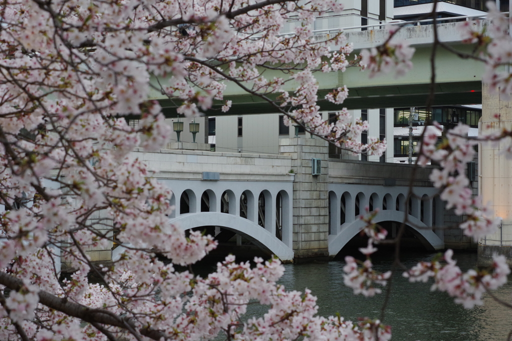 春の水晶橋
