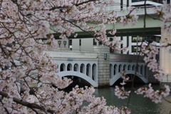 春の水晶橋