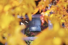 鷲林寺の鐘