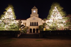 関西学院大学クリスマスツリー