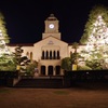 関西学院大学クリスマスツリー