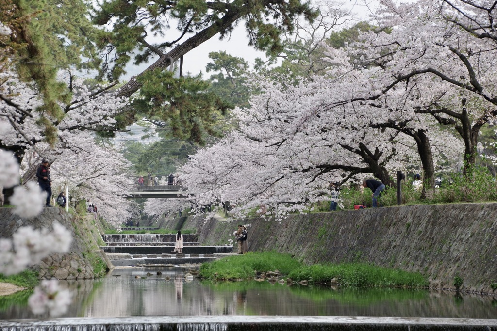 夙川　南から