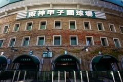 ツタ色づく甲子園