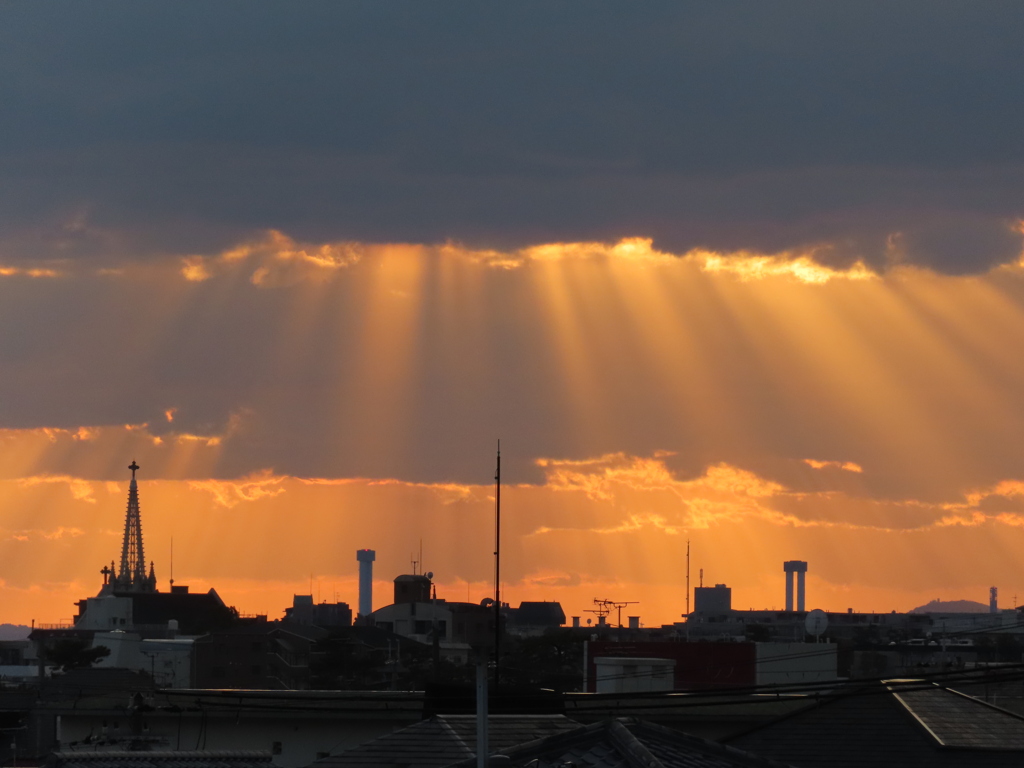 冬の夕方