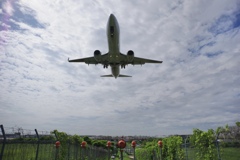 伊丹空港